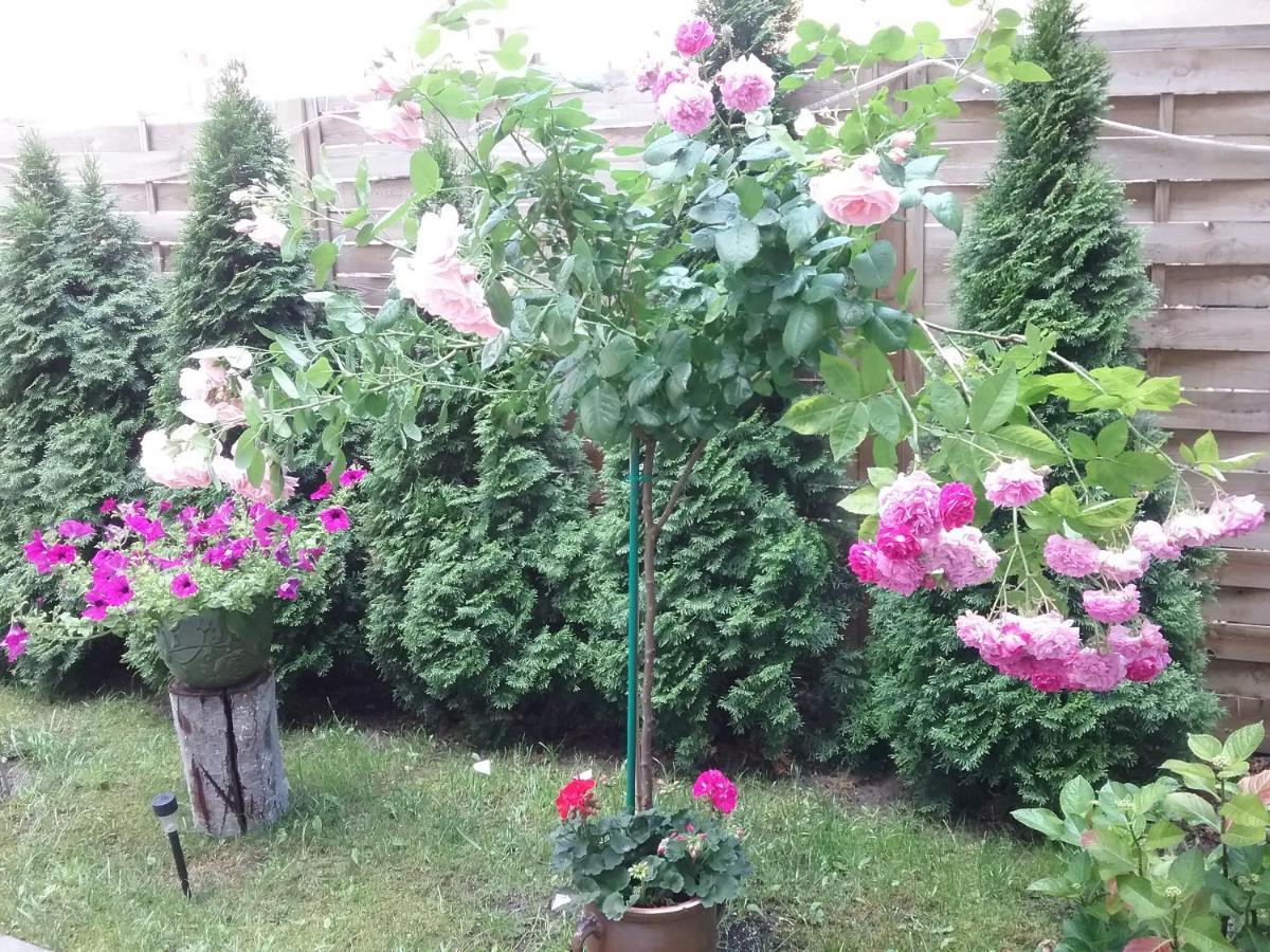 Apartament Stary Toruń Kültér fotó